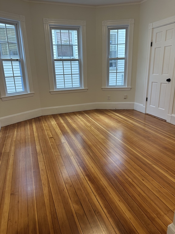 10 Dalrymple St. - Jamaica Plain