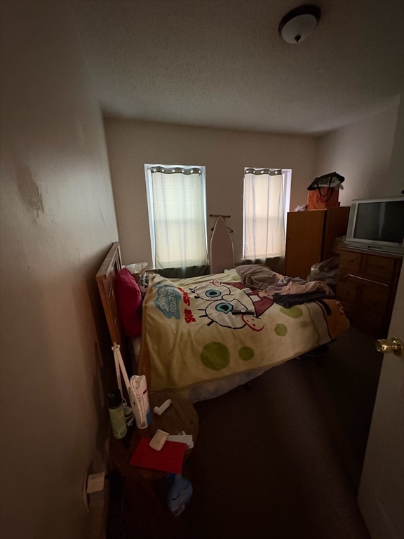 12 Mount Pleasant St. - Roxbury