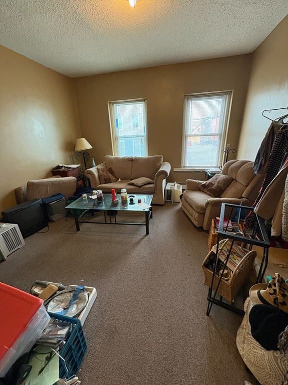 12 Mount Pleasant St. - Roxbury
