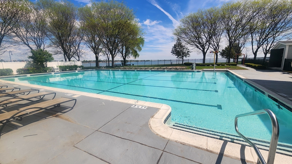 50 Island View Pl. - Dorchester