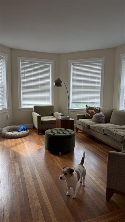 3 Alton - Coolidge Corner