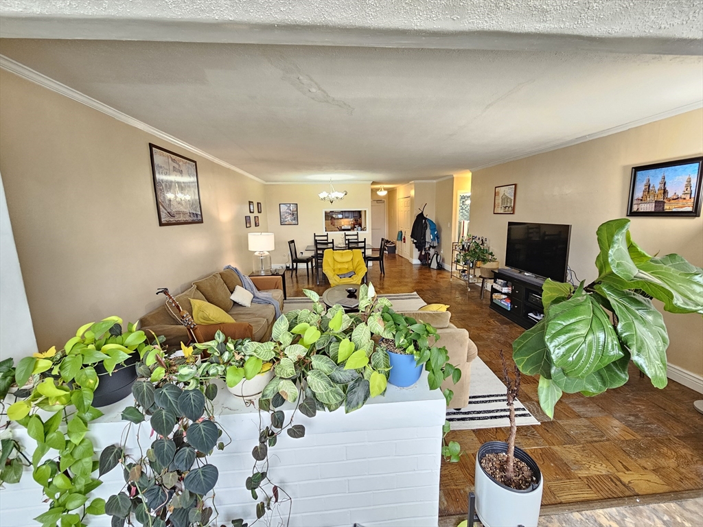 8 Whittier Pl. - West End