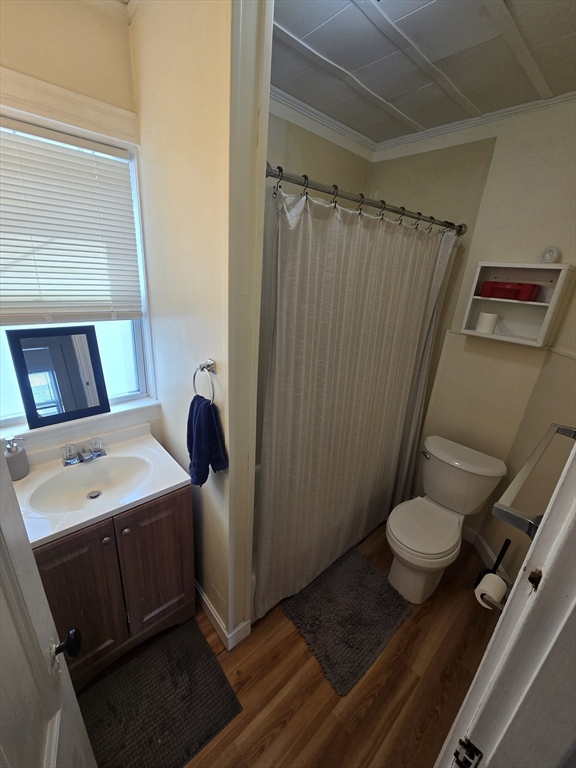 60 Dustin St. - Brighton