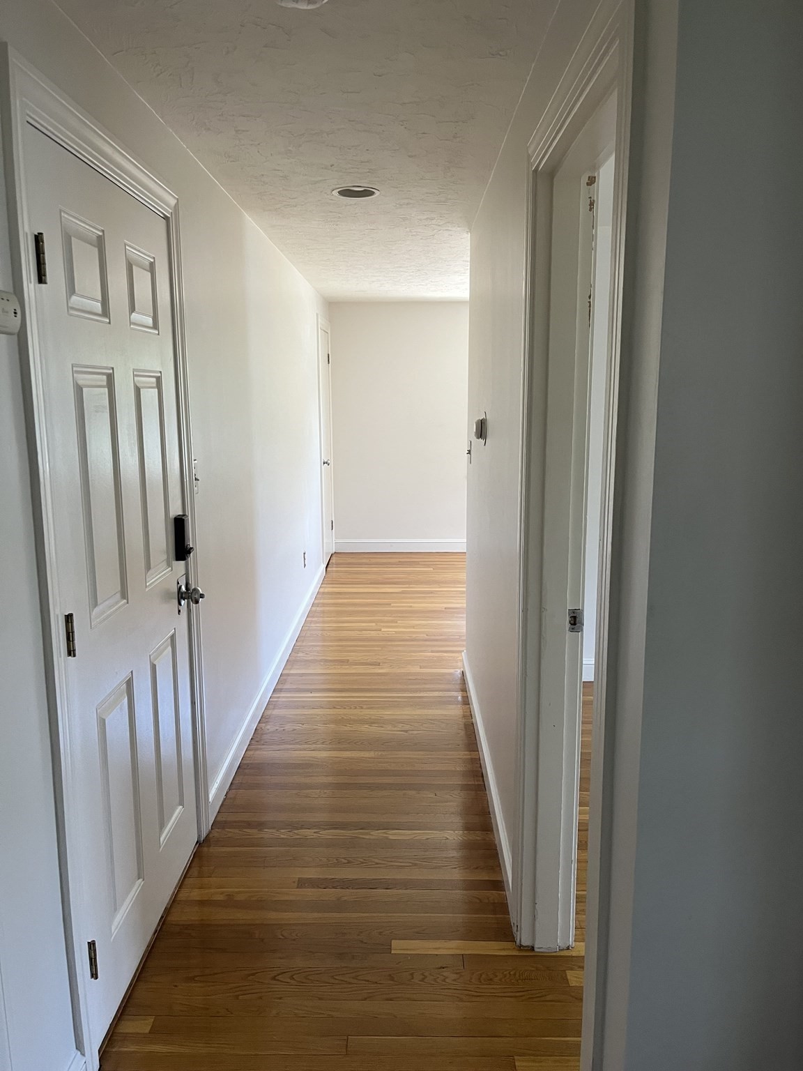 251 Faneuil - Brighton