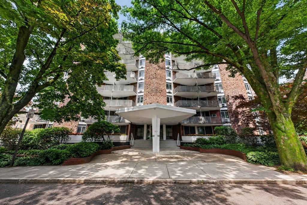 19 Winchester - Coolidge Corner