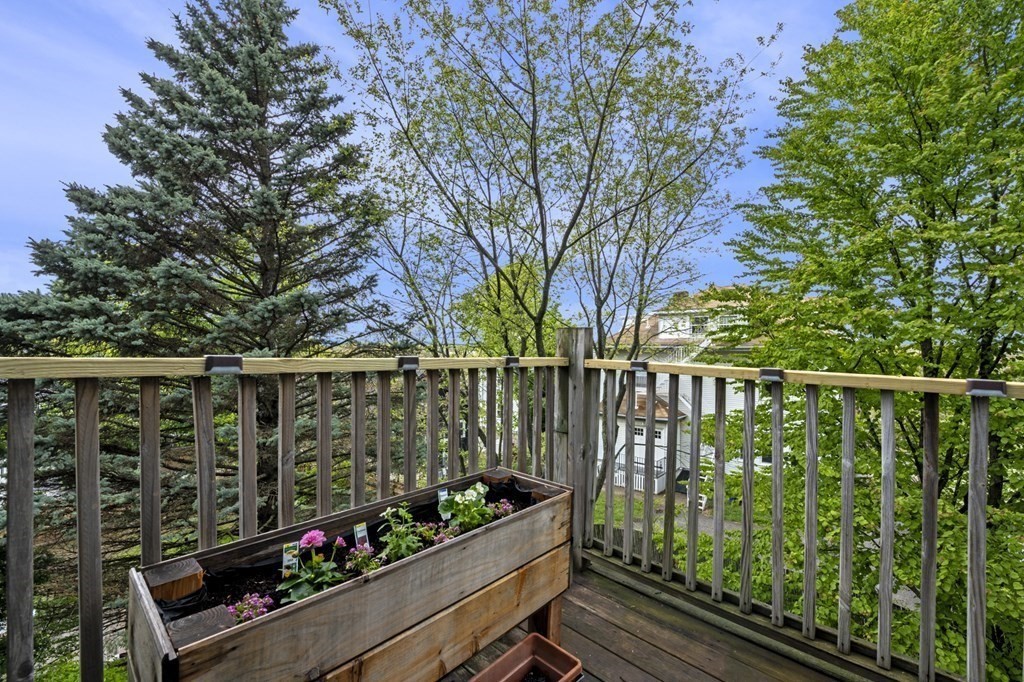 59 Brooksdale Rd. - Brighton