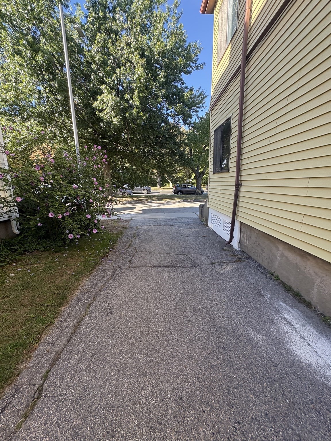 7 Seagrave Rd. - North Cambridge
