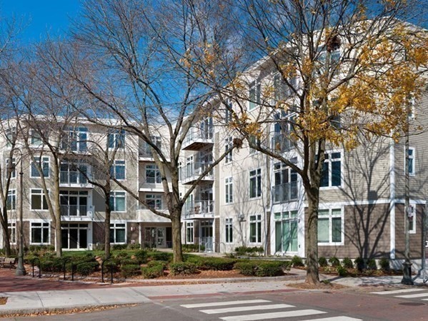 7 Cameron - Porter Square