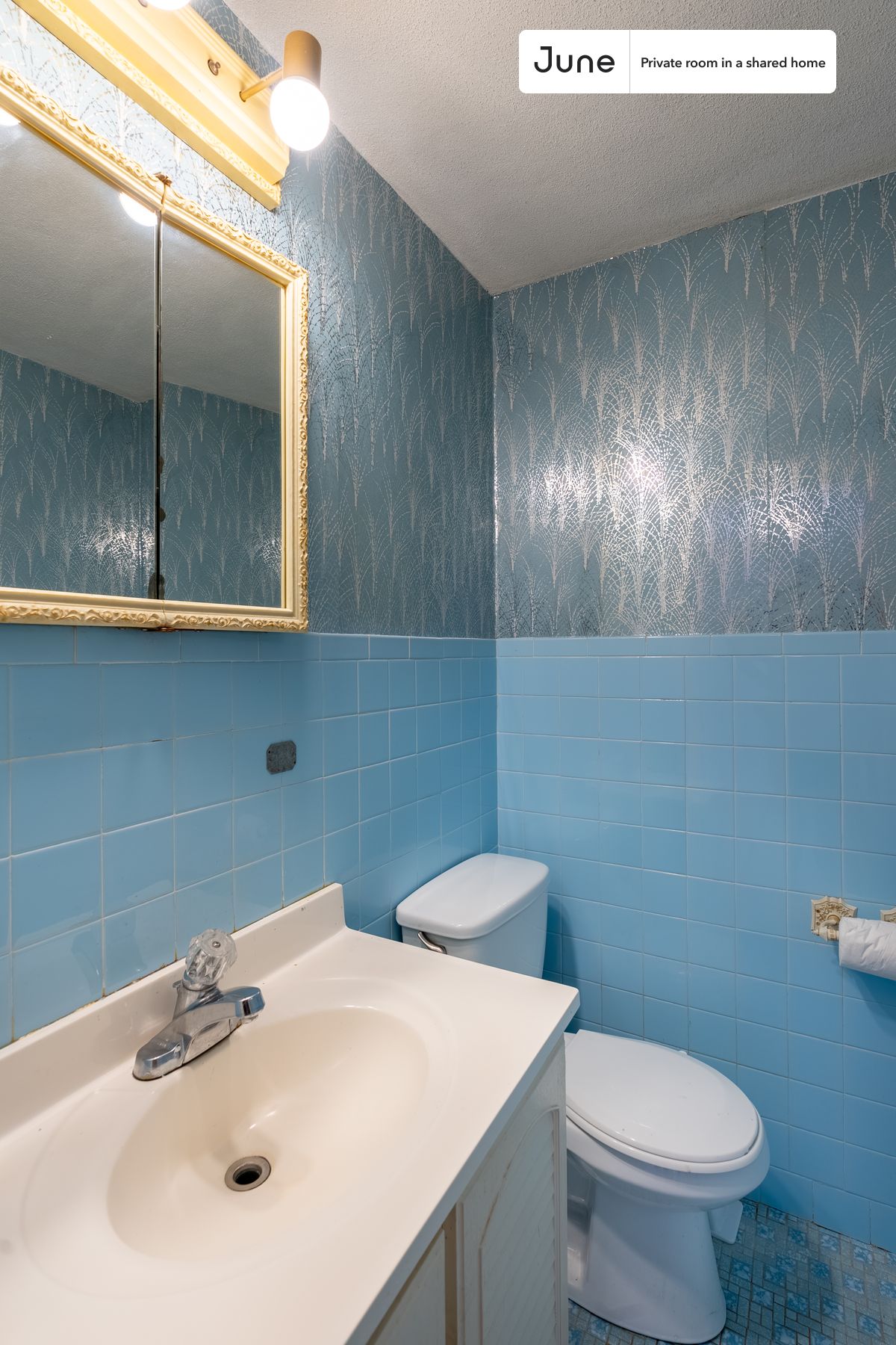 26 Charnwood Rd. - Spring Hill