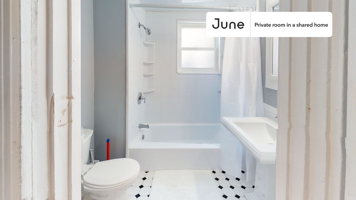 53 Saunders St. - Brighton