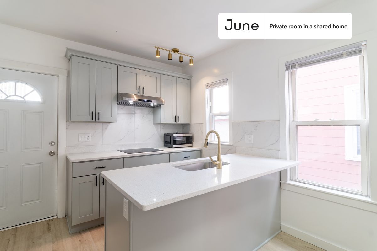 19 Harvest St. - Dorchester