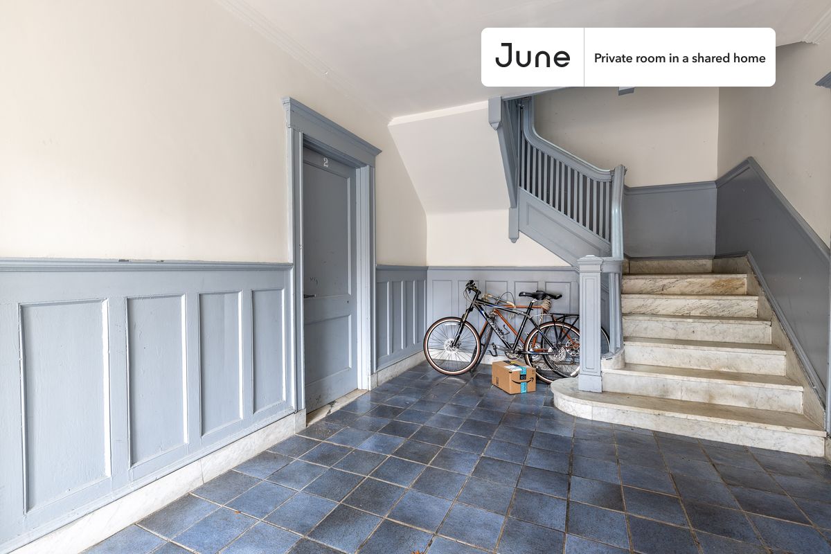 41 Egremont Rd. - Brighton