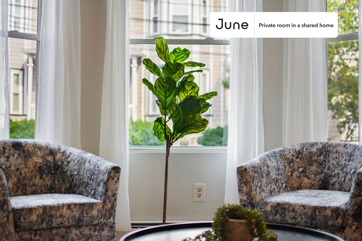 21 Highgate St. - Allston