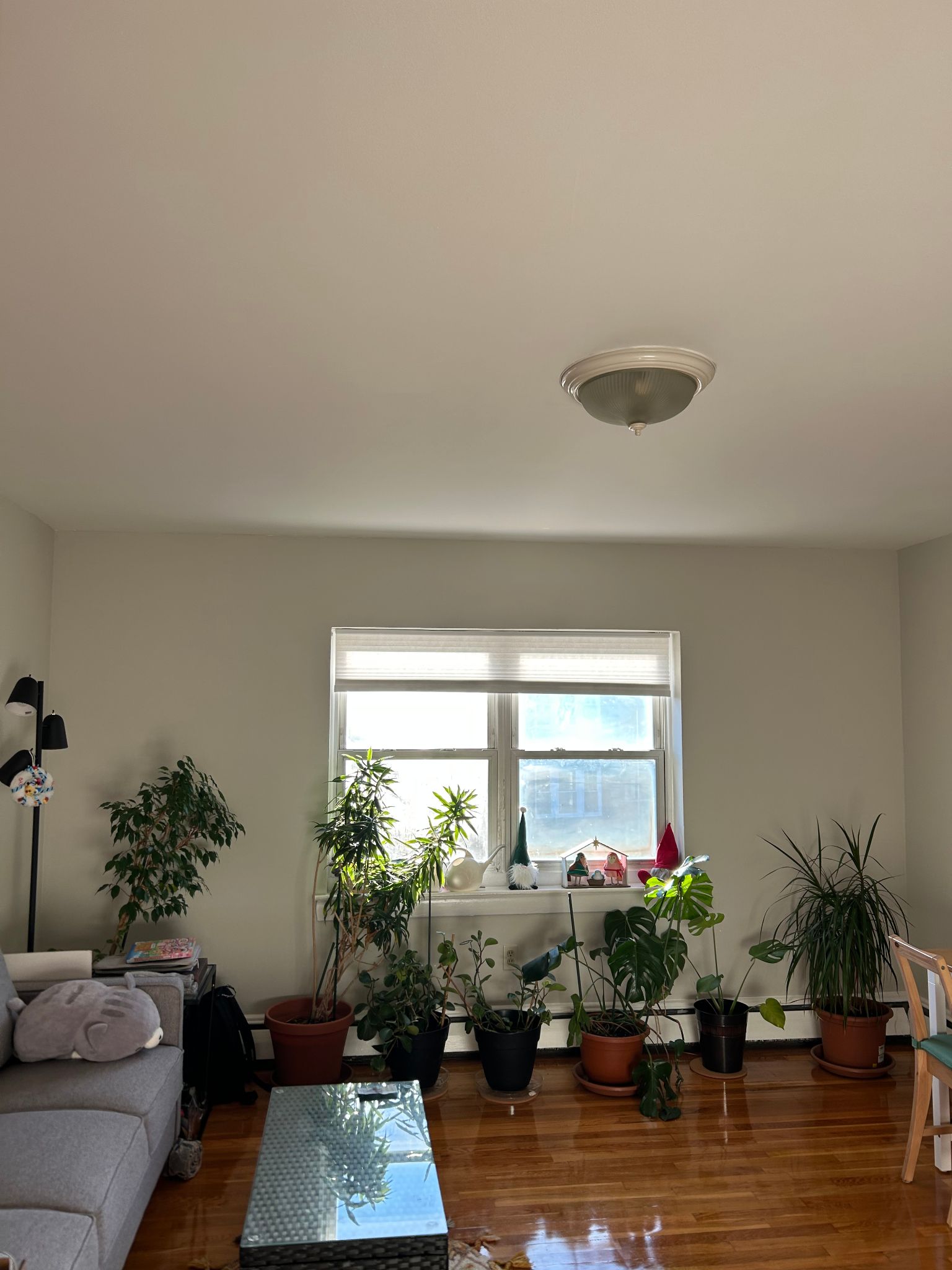 61 Selkirk Rd. - Brighton