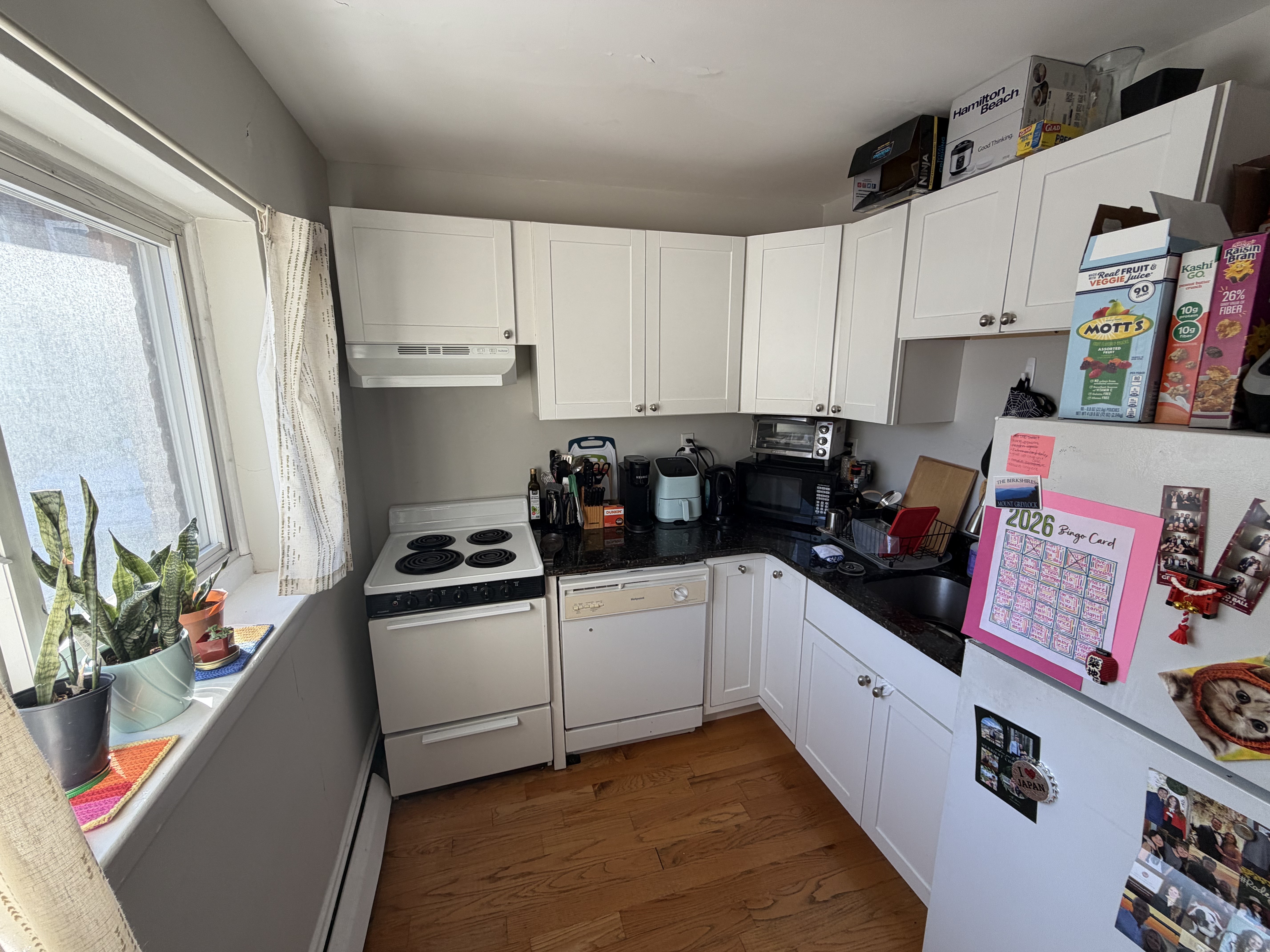 61 Selkirk Rd. - Brighton