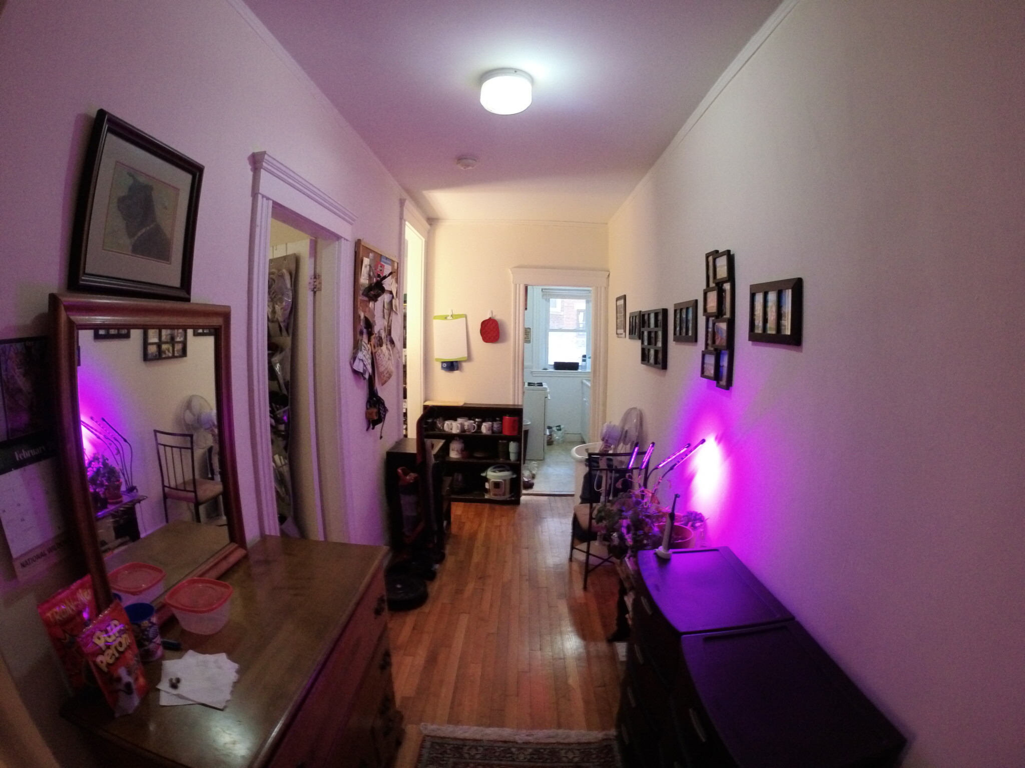 1450 Commonwealth Ave. - Brighton