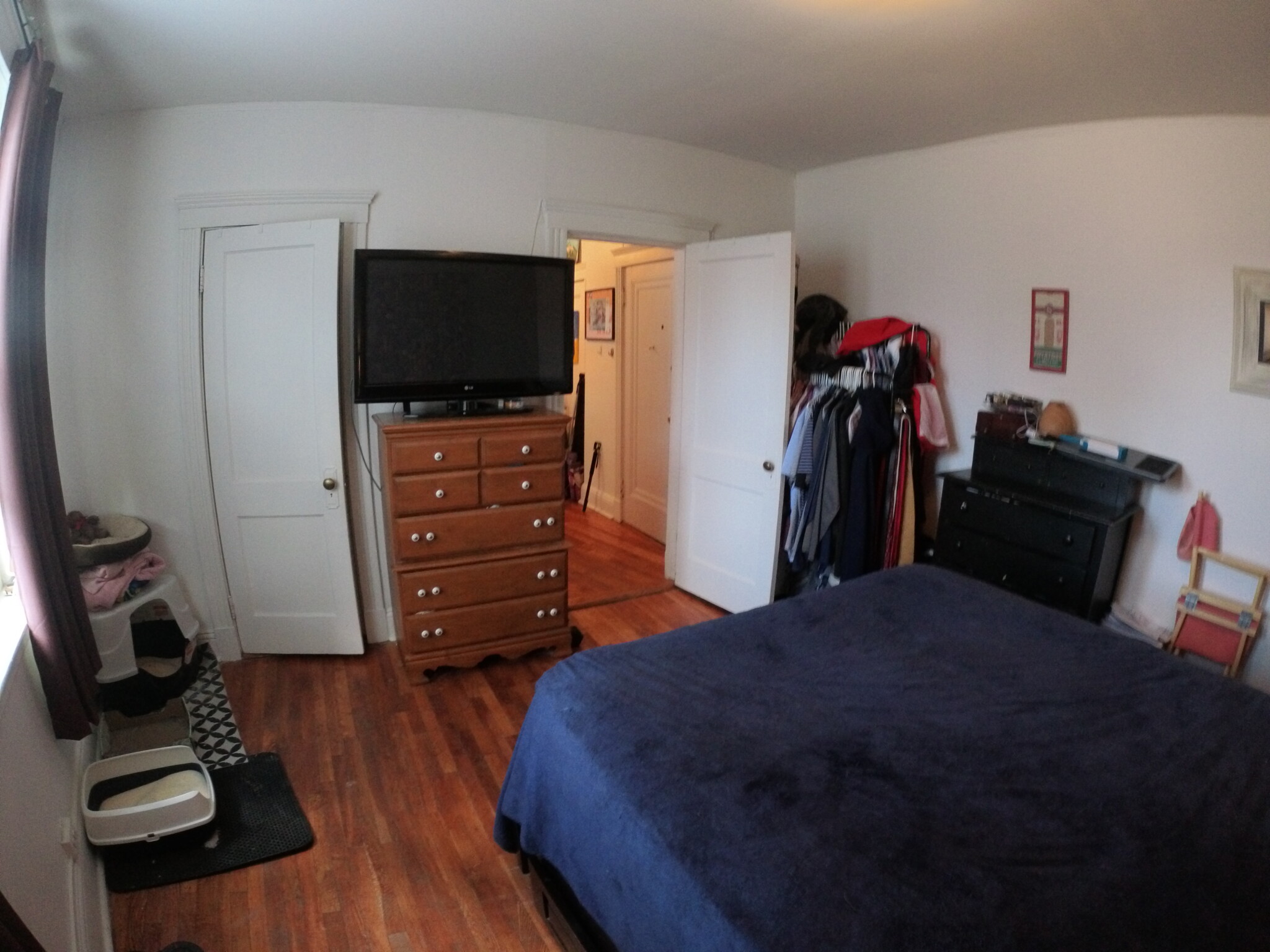 1450 Commonwealth Ave. - Brighton