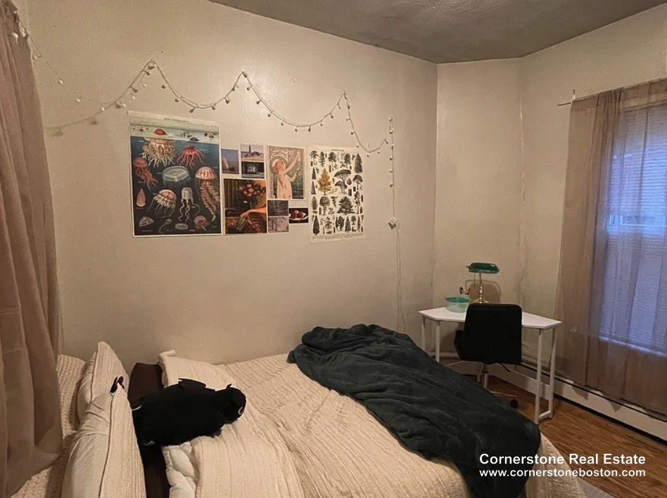 3 Shepherd - Mission Hill
