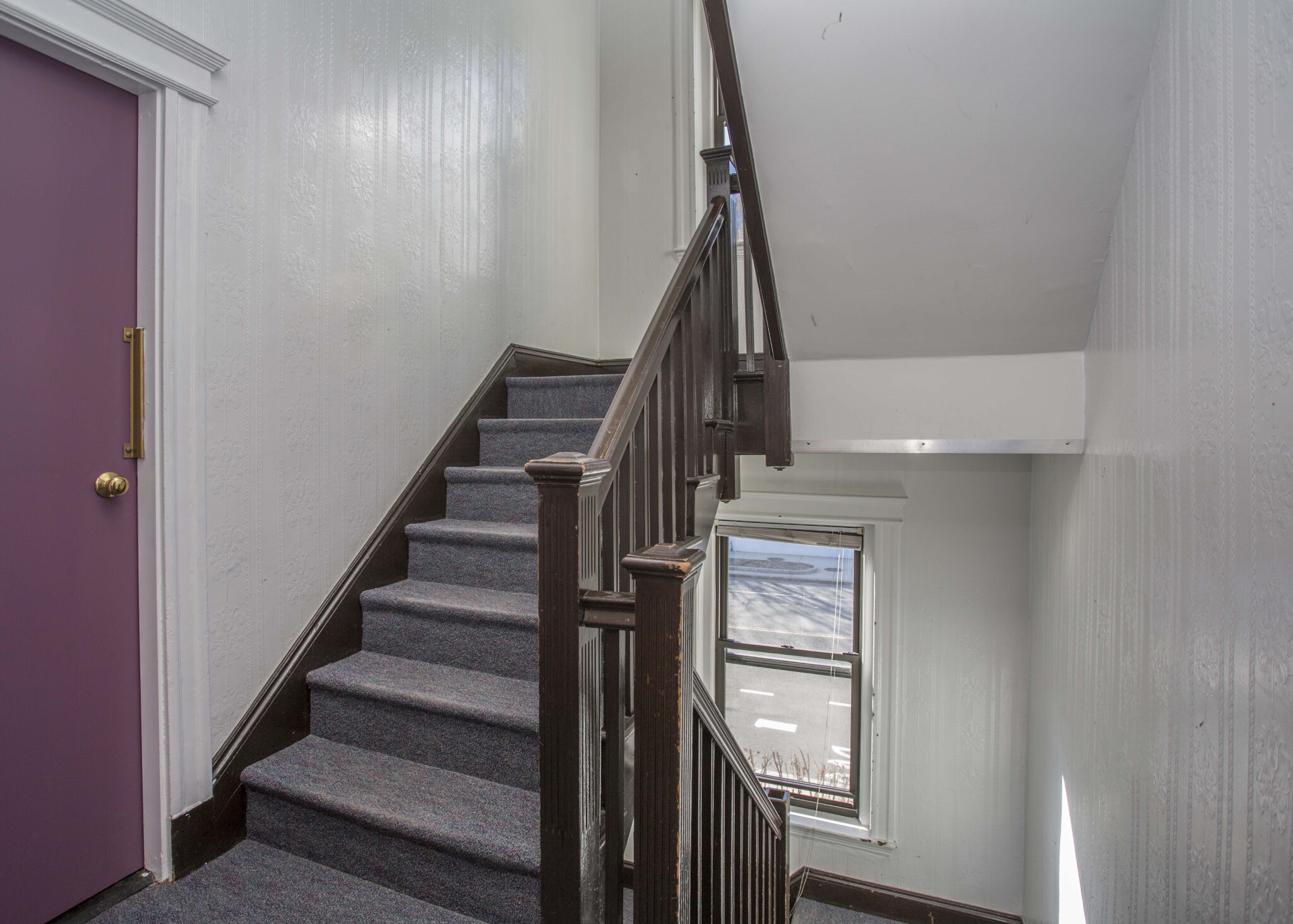12 Elko St. - Brighton
