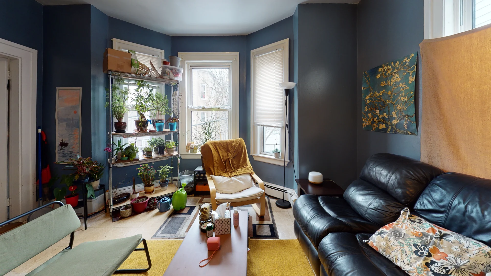 36 Mozart St. - Jamaica Plain