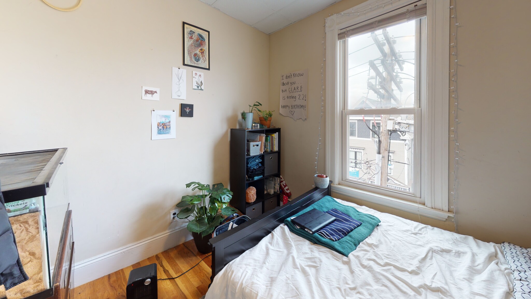 27 Falcon St. - East Boston