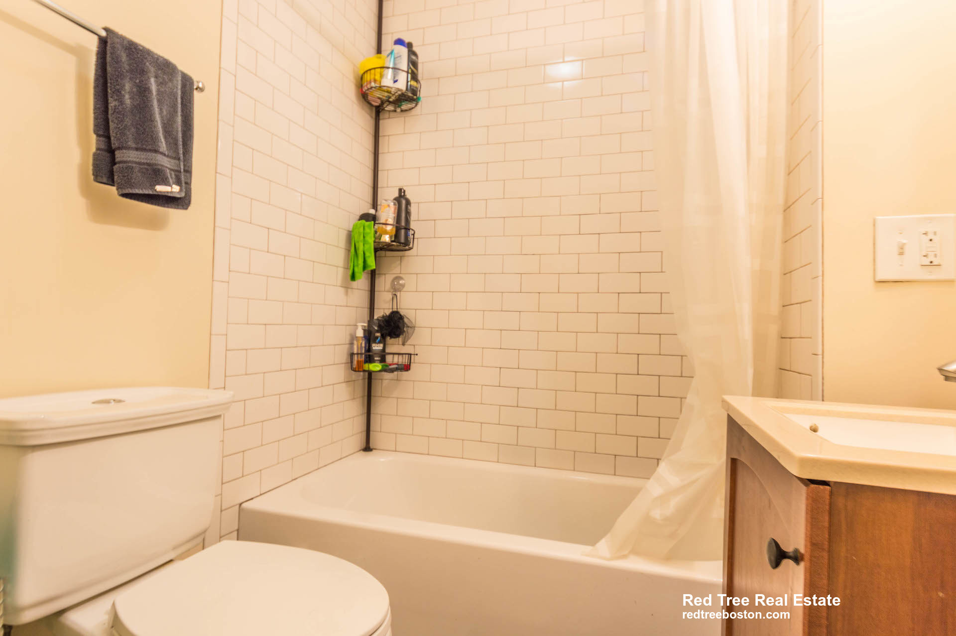 18 Cobden St. - Jamaica Plain