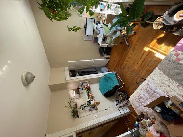 4 Litchfield St. - Brighton